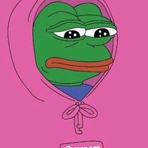 Meet your Posher, Brady